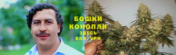 ГАЛЛЮЦИНОГЕННЫЕ ГРИБЫ Богородицк