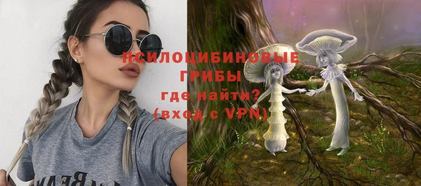 мдма Богданович